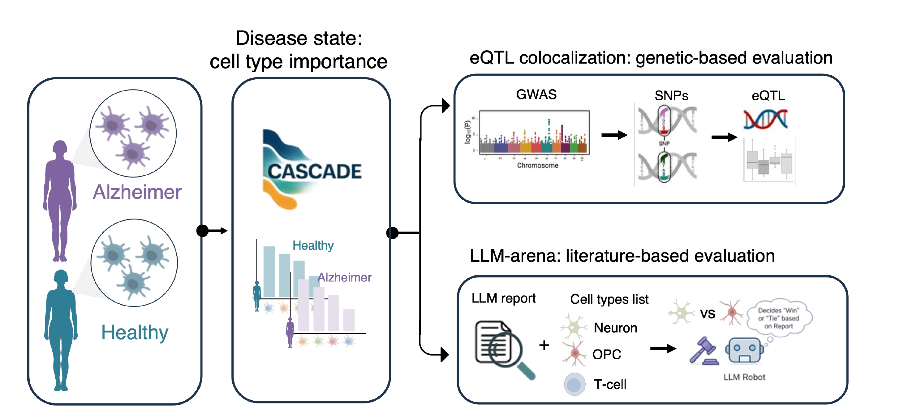 CASCADE-Explainer AD validation — GWAS and LLM benchmarking