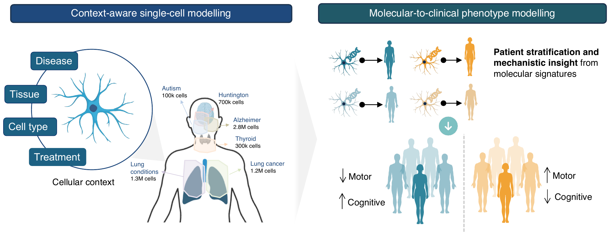 CASCADE — context-aware single-cell modelling overview