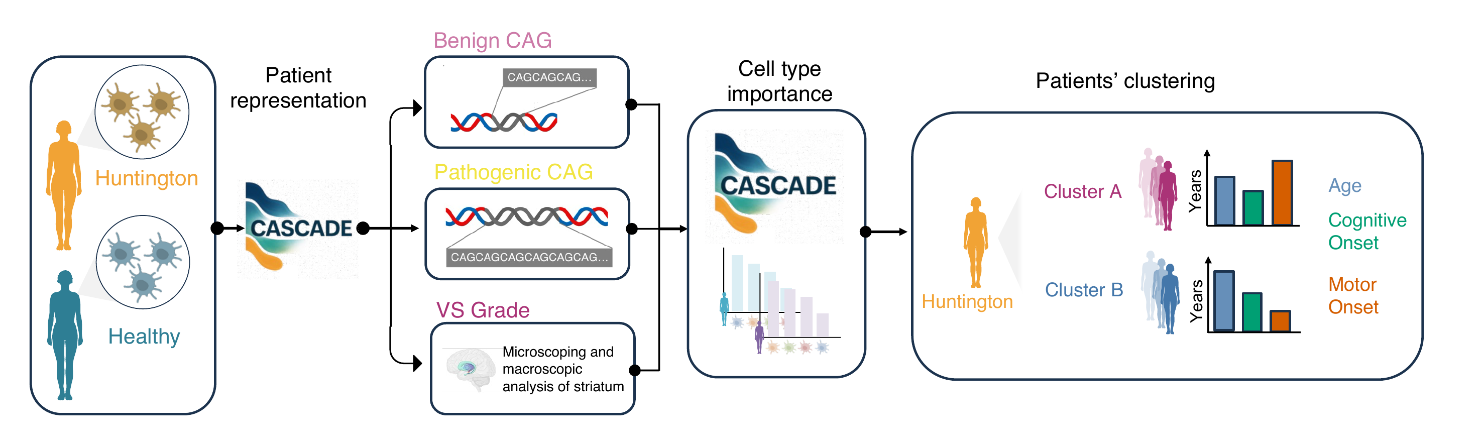 CASCADE-HD overview pipeline